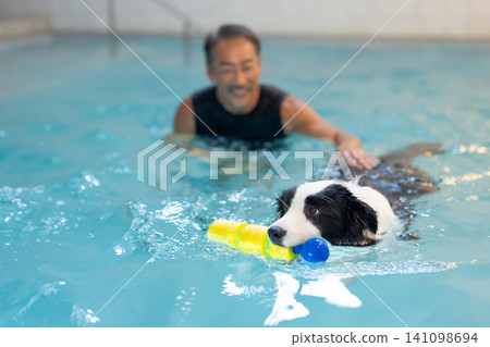 一位資深男性訓犬師和他的狗正在游泳池中進行復健訓練。 141098694