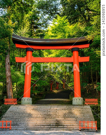 宇佐神社的朱紅色鳥居和石階,周圍環繞著翠綠的植物。 宇佐神社的朱紅色鳥居和石階,周圍環繞著翠綠的植物。 141098955