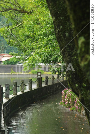 [Hida Furukawa] A walking path during the rainy season 141098980
