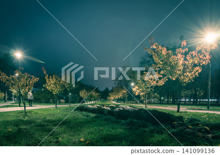 The teiled road in the night park with lanterns in autumn. Benches in the park during the autumn season at night. Illumination of a park road with lanterns at night. Park Kyoto 141099136