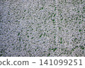 The football field with artificial green grass is covered with a light layer of snow. Early spring. Green grass on the football field is visible from under the snow. Amateur football field. 141099251
