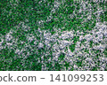 The football field with artificial green grass is covered with a light layer of snow. Early spring. Green grass on the football field is visible from under the snow. Amateur football field. 141099253