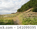 Aomori Prefecture, Hiranai Town, Natsudomari Peninsula, Oshima Island 141099395