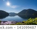 北海道鹿別湖清晨：寧靜的湖面和蔚藍的天空構成了一幅美麗的畫卷。 141099487