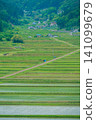 A rural landscape in a certain farming village [Nagano Prefecture] 141099679