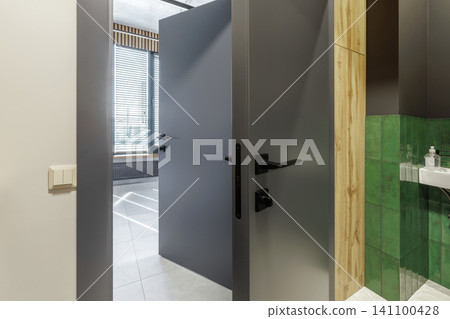 Modern Interior with Grey Door and Green Tiled Bathroom Accent Modern Interior with Grey Door and Green Tiled Bathroom Accent 141100428