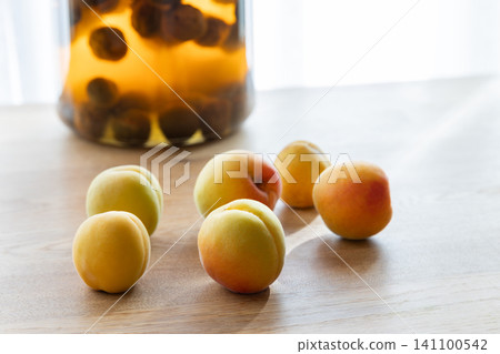 Ripe plums and finished plum syrup Ripe plums and finished plum syrup 141100542