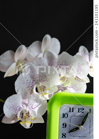 Green alarm clock with white orchid and water droplets in bright morning sunlight, morning routine concept . Green alarm clock with white orchid and water droplets in bright morning sunlight, morning routine concept . 141101195