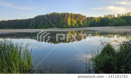 Peaceful river at sunrise with tree reflections and stones creating tranquil natural landscape scene Peaceful river at sunrise with tree reflections and stones creating tranquil natural landscape scene 141101785