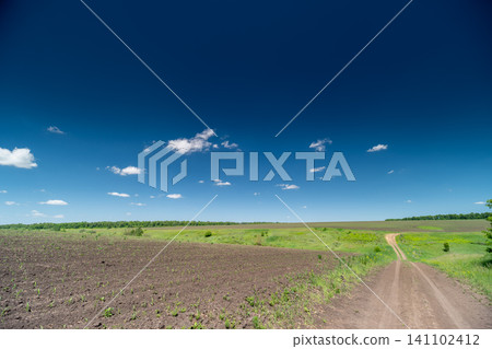 Rural dirt road beside freshly plowed field under deep blue sky Rural dirt road beside freshly plowed field under deep blue sky 141102412