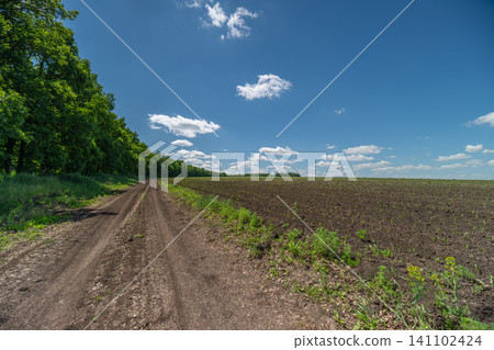 Rural dirt track alongside a plowed field under a blue sky Rural dirt track alongside a plowed field under a blue sky 141102424