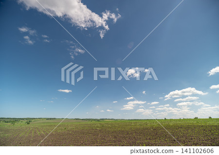 Sunny rural field under a wide blue sky Sunny rural field under a wide blue sky 141102606