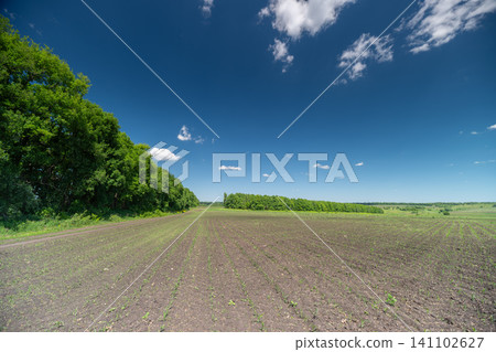 Plowed field and hedgerow under a blue sky with scattered clouds Plowed field and hedgerow under a blue sky with scattered clouds 141102627
