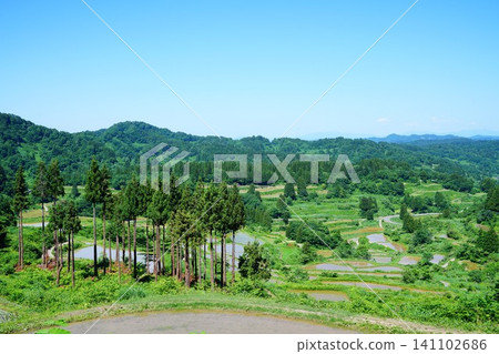 Rice paddy of Star Pass 141102686