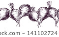 Beetroot border illustration as a hand drawn ink sketch. Seamless design element with garden vegetables for culinary art, packaging, menu design and organic farm concept graphics. 141102724