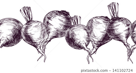 Beetroot border illustration as a hand drawn ink sketch. Seamless design element with garden vegetables for culinary art, packaging, menu design and organic farm concept graphics. Beetroot border illustration as a hand drawn ink sketch. Seamless design element with garden vegetables for culinary art, packaging, menu design and organic farm concept graphics. 141102724