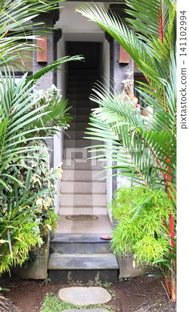 Tropical palm fronds frame stone steps leading to shaded entryway with potted greenery and textured concrete, creating calm garden architecture scene in soft daylight Tropical palm fronds frame stone steps leading to shaded entryway with potted greenery and textured concrete, creating calm garden architecture scene in soft daylight 141102994
