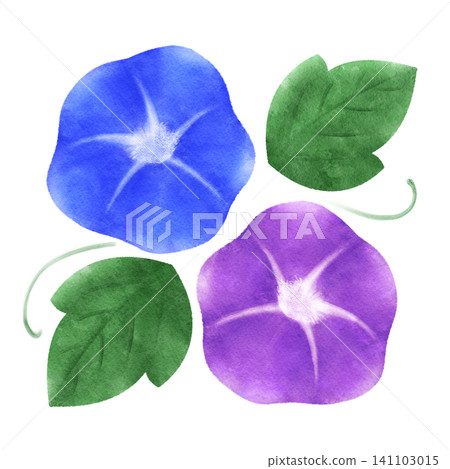 水彩風格牽牛花插畫 141103015