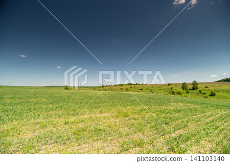 Wide rural field under clear blue sky 141103140