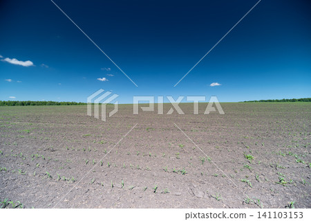 Wide open plowed field under deep blue sky 141103153