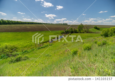 Sunny rural meadow with stream and distant cornfield Sunny rural meadow with stream and distant cornfield 141103157