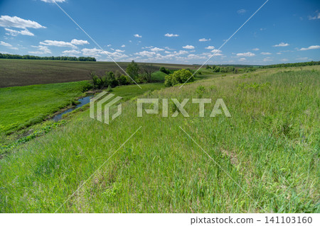 Sunny green meadow with small stream and distant trees under blue sky Sunny green meadow with small stream and distant trees under blue sky 141103160