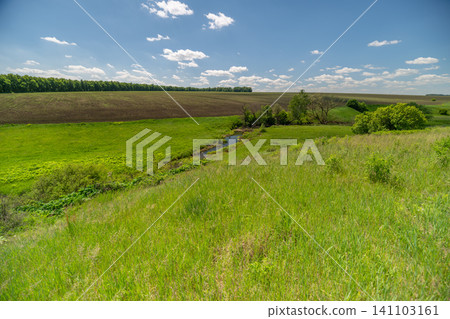 Sunny rural meadow leading to a distant cornfield under a blue sky Sunny rural meadow leading to a distant cornfield under a blue sky 141103161