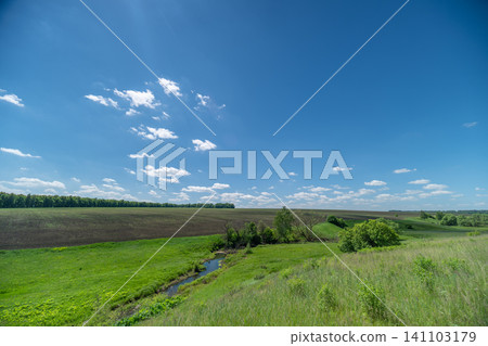 Sunny rural meadow with stream under clear blue sky Sunny rural meadow with stream under clear blue sky 141103179