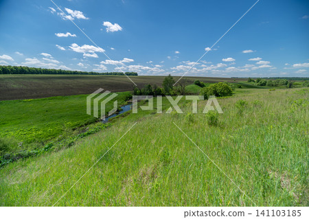 Sunny green meadow with winding stream under blue sky Sunny green meadow with winding stream under blue sky 141103185