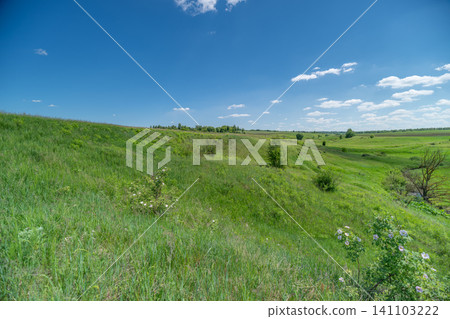 Sunny green meadow with rolling hills under blue sky Sunny green meadow with rolling hills under blue sky 141103222