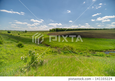Sunny rural meadow with rolling grasslands and distant tree line 141103224