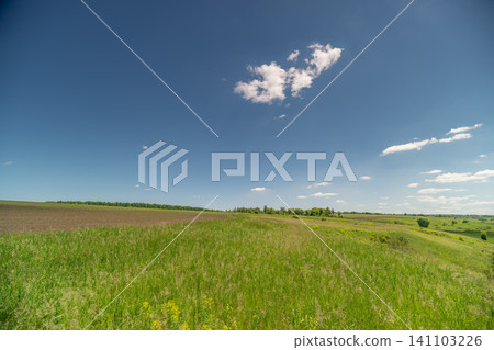 Wide green meadow under blue sky with scattered clouds Wide green meadow under blue sky with scattered clouds 141103226