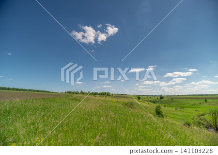 Open green meadow under a blue sky with scattered clouds Open green meadow under a blue sky with scattered clouds 141103228