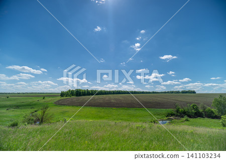 Sunny rural marshland with green meadow and distant reed bed Sunny rural marshland with green meadow and distant reed bed 141103234