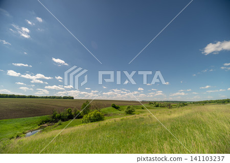 Sunny rural meadow and rolling fields under a blue sky Sunny rural meadow and rolling fields under a blue sky 141103237