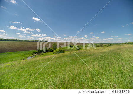 Rolling meadow and distant fields under a bright blue sky Rolling meadow and distant fields under a bright blue sky 141103246