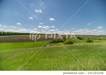 Sunny rural meadow with rolling fields and distant horizon Sunny rural meadow with rolling fields and distant horizon 141103248