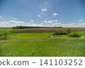 Sunny rural field with cornline and wildflowers under blue sky Sunny rural field with cornline and wildflowers under blue sky 141103252