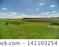 Sunny rural field with green grass and distant treeline Sunny rural field with green grass and distant treeline 141103254