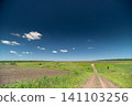 Dirt track through open green meadow under deep blue sky Dirt track through open green meadow under deep blue sky 141103256