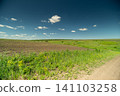 Rural field with dirt road under blue sky Rural field with dirt road under blue sky 141103258