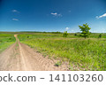 Sunlit dirt road winding through a green summer meadow under a clear blue sky Sunlit dirt road winding through a green summer meadow under a clear blue sky 141103260