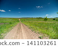 Dirt country road through green meadow under clear blue sky Dirt country road through green meadow under clear blue sky 141103261