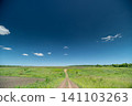 Dirt path through green summer meadow under deep blue sky Dirt path through green summer meadow under deep blue sky 141103263