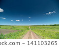 Rural dirt path through green summer field under deep blue sky Rural dirt path through green summer field under deep blue sky 141103265
