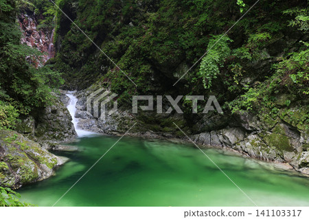 The Ojiragawa Valley, enveloped in fresh greenery The Ojiragawa Valley, enveloped in fresh greenery 141103317