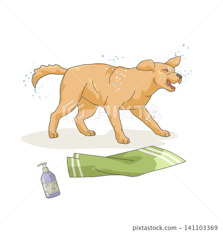 Happy wet dog shaking off water after washing. Funny home bathing moment. Vector illustration isolated on white background. Happy wet dog shaking off water after washing. Funny home bathing moment. Vector illustration isolated on white background. 141103369