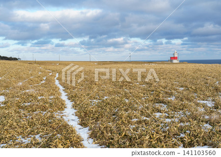Ochishi Cape Lighthouse and winter coastal scenery in Nemuro City, Hokkaido: A tourist attraction in eastern Hokkaido. Ochishi Cape Lighthouse and winter coastal scenery in Nemuro City, Hokkaido: A tourist attraction in eastern Hokkaido. 141103560