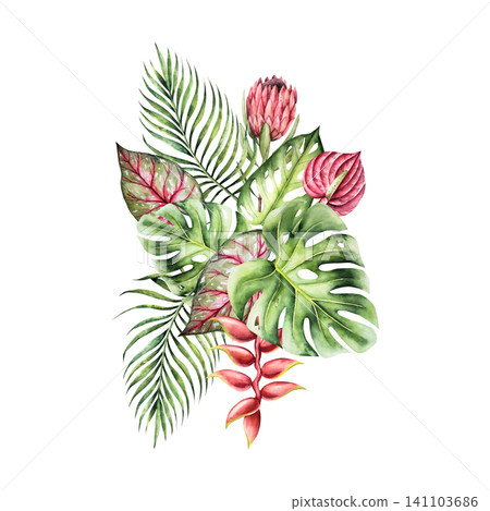 Tropical watercolor bouquet, composition. Monstera, palm, protea calladium, red anthurium, heliconia flower. Hand drawn isolated illustrations on transparent background. Perfect for tropical design pr Tropical watercolor bouquet, composition. Monstera, palm, protea calladium, red anthurium, heliconia flower. Hand drawn isolated illustrations on transparent background. Perfect for tropical design pr 141103686
