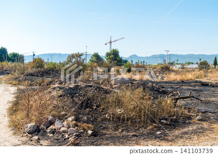 Burned vegetation and Fire Damage on the Outskirts of the City 141103739